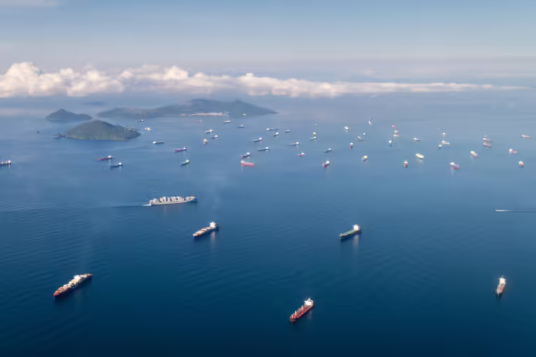 The Impact of Port Congestion on Global Supply Chains: How to Plan for Delays